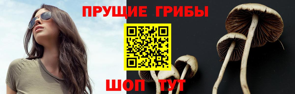 Псилоцибиновые грибы ЛСД  Галлюциногенные грибы мухоморы  Вход с VPN  Тулун 